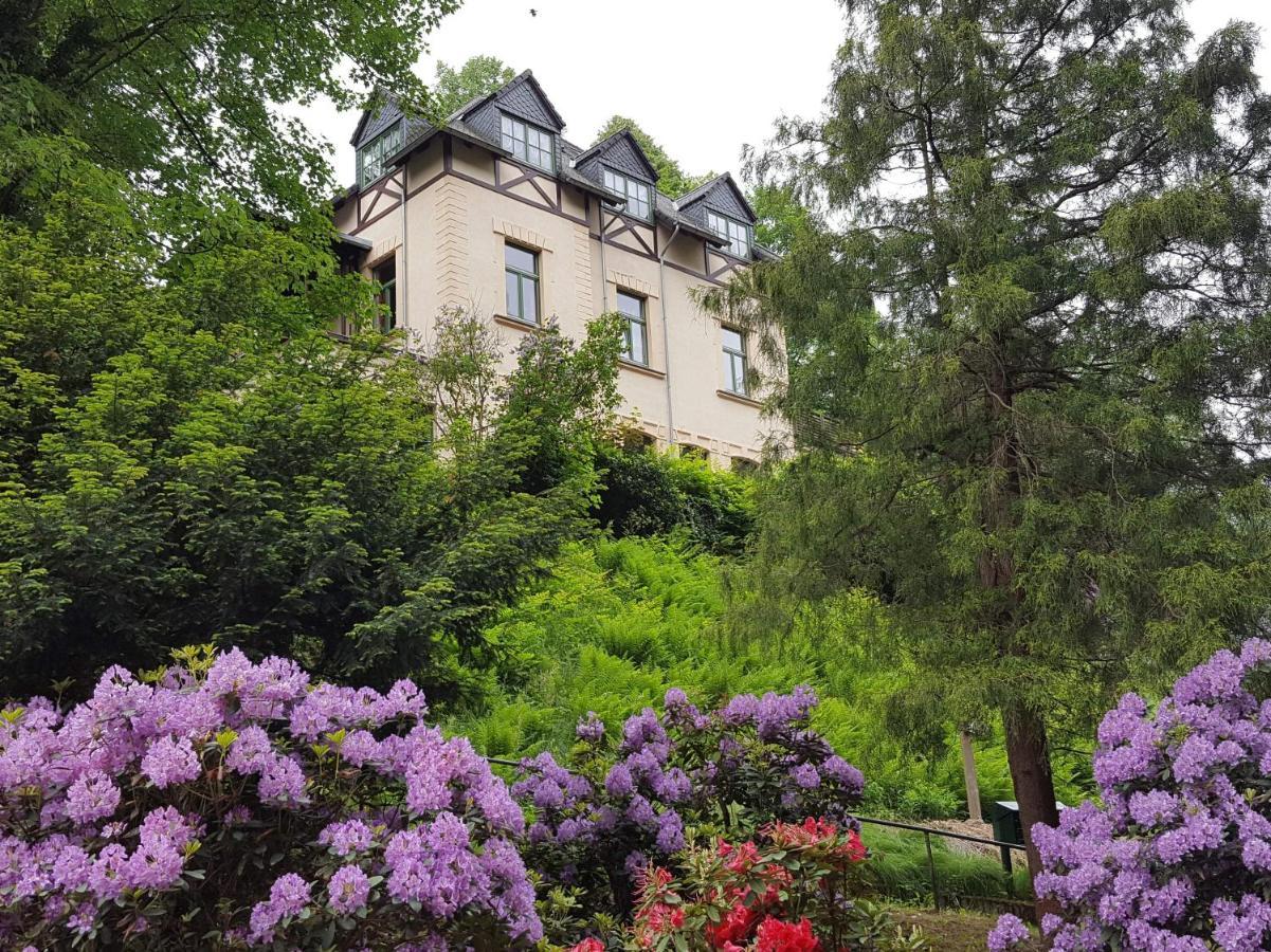Art-House Kurort Rathen Apartment Exterior foto